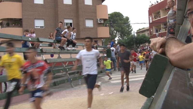 El "encierro pequeño" y el "Chiquiencierro", antesala de los encierros de novillos en Calasparra
