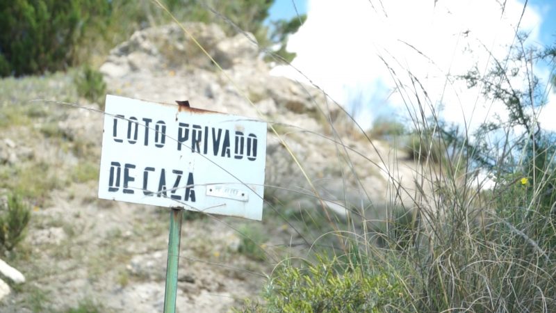 Desde hoy se permite la caza en las zonas que se encuentren dentro de la 'Fase 1' de la desescalada