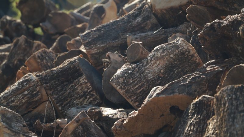 Se dispara la venta de leña de manera anticipada este año en el Noroeste