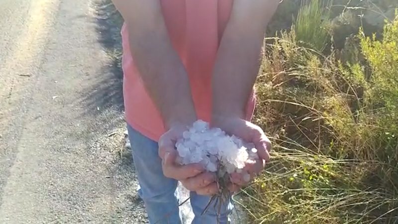 La tormenta de ayer por la tarde ha dejado hasta 30 mm en pedanías de Moratalla