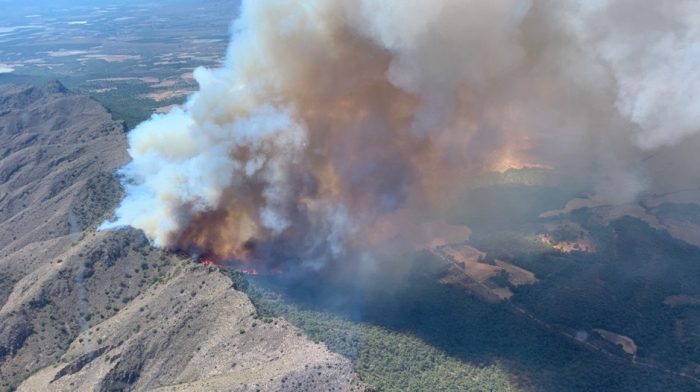 Nuevo incendio forestal en Jumilla