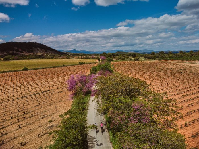 Unas 300.000 personas utilizaron las vías verdes de la Región durante la primera mitad del año