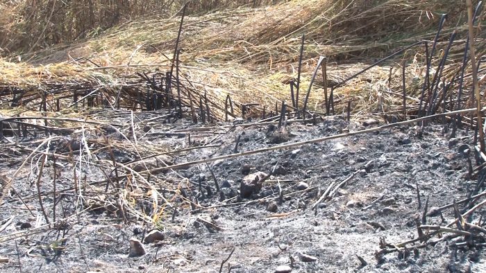 Extinguido el incendio forestal declarado en una zona cercana al Embalse del Argos